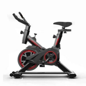 DASCK - Bicicleta Estática Profesional con Volante Inercia 6kg y Pantalla LCD